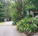 Tamborine Mountain Caravan  Camping - Accommodation Fremantle