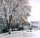 Maneroo Motel - Accommodation Fremantle
