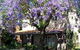 Burwood Boronia Lodge Private Hotel - thumb 2
