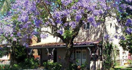 Burwood Boronia Lodge Private Hotel - Accommodation Fremantle 2