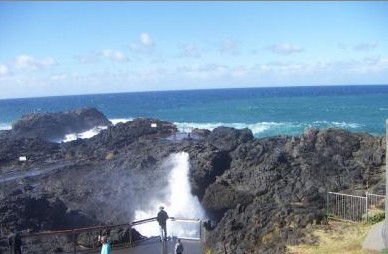 Kiama Ocean View Motor Inn - Accommodation Fremantle 1
