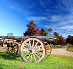 The Oaks Ranch and Country Club - Mossy Point - Accommodation Fremantle