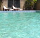Toreador Motel - Coffs Harbour - Accommodation Fremantle