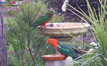 Valley View Motel Murrurundi - Murrurundi - Accommodation Fremantle 4