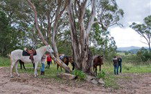 Hidden Valley Farm - Accommodation Fremantle 1