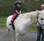Mansfield Cottage Barrington Tops Accommodation - Accommodation Fremantle