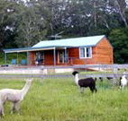 Moorallie Cottage Farm Stay - Accommodation Fremantle