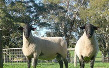 Red Hill Organics Farmstay - Accommodation Fremantle 7