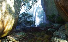 Anketell Forest Cottages - Accommodation Fremantle 4