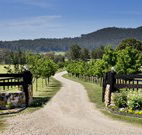 Pemberley Grange Hunter Valley Getaway - Accommodation Fremantle