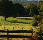 Pines on the Plateau - Accommodation Fremantle
