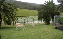 Sunny Hill Retreat Accommodation And Day Spa - - Accommodation Fremantle 6