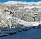 The Lions Lair Lodge - - Accommodation Fremantle