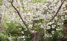 Valley Of The Waters Bed And Breakfast - Accommodation Fremantle 7