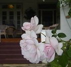 White House Heritage Guesthouse - Accommodation Fremantle