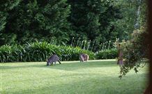 Yallambee Bed And Breakfast - Accommodation Fremantle 4