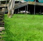 Snowy Valley Resort - Accommodation Fremantle