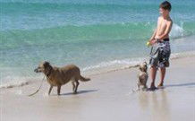 A Paradise Bungalow Waterfront - Accommodation Fremantle 0