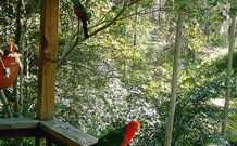 Eco Huts - Jervis Bay Getaways - Accommodation Fremantle 2