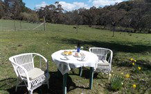 Pinegrove Cottage - Accommodation Fremantle 5