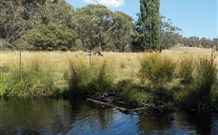 Pinegrove Cottage - Accommodation Fremantle 3