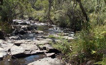 Pinegrove Cottage - Accommodation Fremantle 4