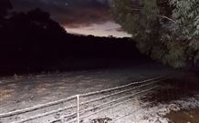 Pinegrove Cottage - Accommodation Fremantle 7