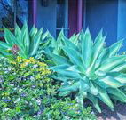 Retreat Homestead - Accommodation Fremantle