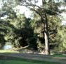 Rustic Caravan Park - Accommodation Fremantle