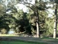 Rustic Caravan Park - Accommodation Fremantle 0