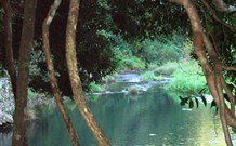 The Dell Blackheath - Accommodation Fremantle 1