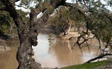 Valley View Cottage Hunter Valley - Accommodation Fremantle 0