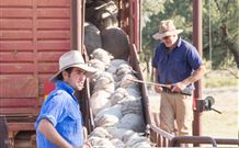 Valley View Cottage Hunter Valley - Accommodation Fremantle 7