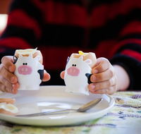 Cosy Cow Farmstay Bed and Breakfast - Accommodation Fremantle