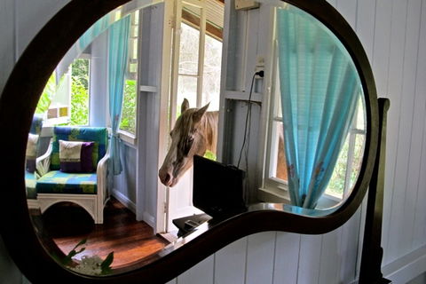Noosa Avalon Farm Cottages - Accommodation Fremantle 10