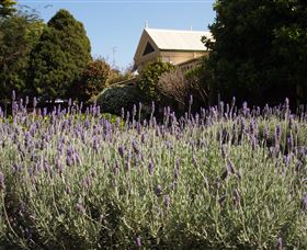 Vacy Hall Toowoomba's Grand Boutique Hotel Since 1873 - Accommodation Fremantle 2