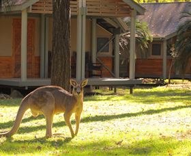 Carnarvon Gorge Wilderness Lodge - Accommodation Fremantle 3