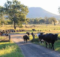 Tommerups Dairy Farmstay - Accommodation Fremantle