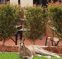 Alpha Canberra Hotel and Apartments - Accommodation Fremantle