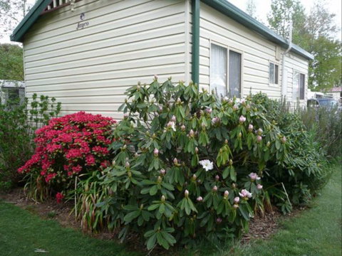 Jenolan Caravan Park - Accommodation Fremantle 2