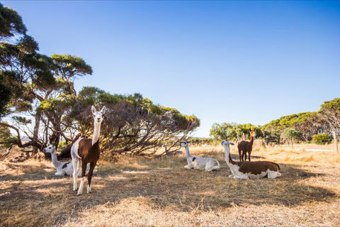 Kangaroo Island Health Retreat - Accommodation Fremantle 8