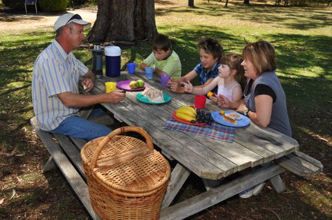 Naracoorte Caves Camping And Accomodation - Accommodation Fremantle 0