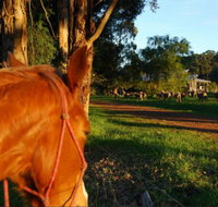 Billa Billa Farm Cottages - Accommodation Fremantle