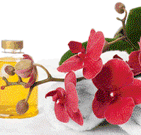 Sunny Hill Retreat Accommodation  Day Spa - Accommodation Fremantle