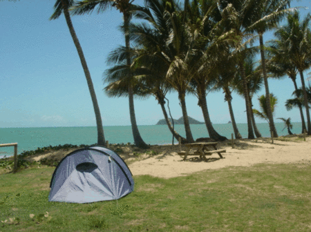 Ellis Beach Oceanfront Bungalows - Accommodation Fremantle 2