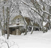 Amber Lodge