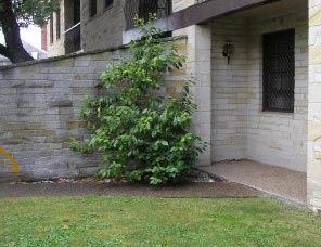 Avon Court Apartments - Accommodation Fremantle 2