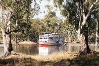 Mildura Plaza Motor Inn - Accommodation Fremantle 4