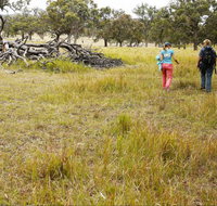 Carnarvon National Park camping - Accommodation Fremantle