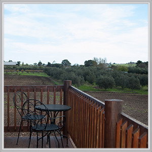 Wine Diva Tours - Accommodation Fremantle 4